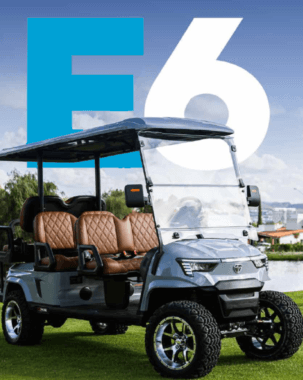 zycar-e6-colombia-modelo zycar-e6-colombia-modelo